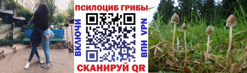 наркошоп  Братск  Псилоцибиновые грибы ЛСД 