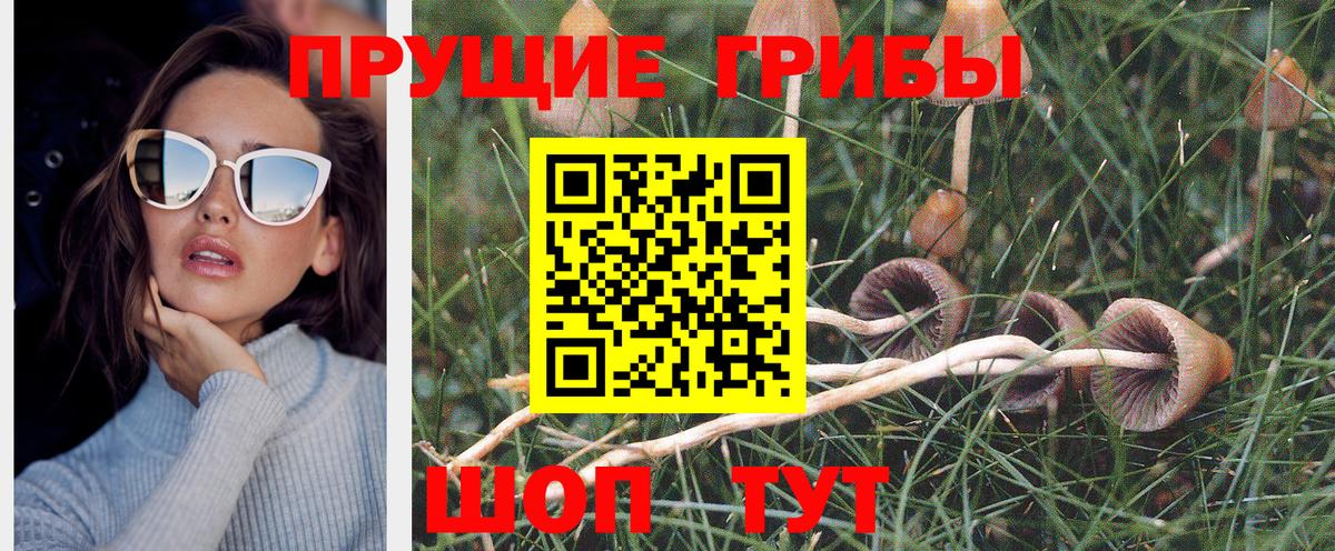 Братск  Псилоцибиновые грибы MAGIC MUSHROOMS  Вход с VPN 