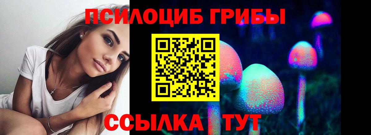 Галлюциногенные грибы ЛСД Братск
